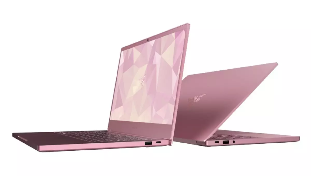 Рожевий ноутбук до дня святого Валентина. І периферія