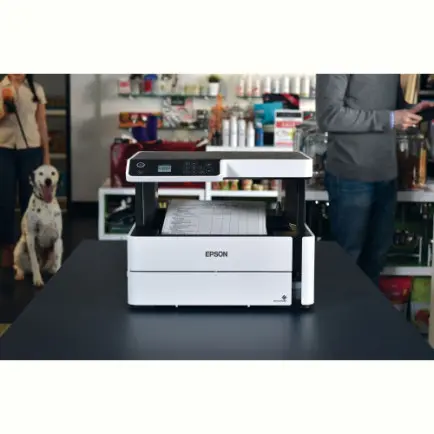 Багатофункційний пристрій А4 Epson M2170 Фабрика друку з WI-FI (C11CH43404)