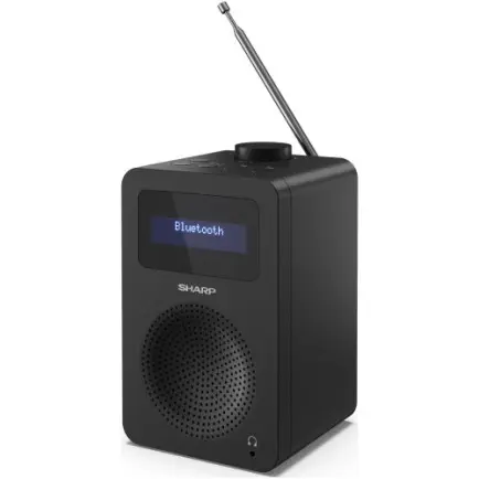 Радиоприемник Sharp DR-430 Black (DR-430(BK)