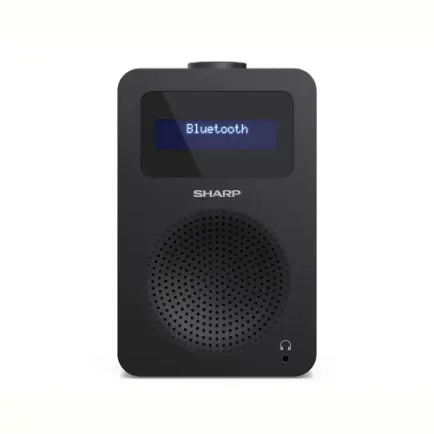 Радиоприемник Sharp DR-430 Black (DR-430(BK)