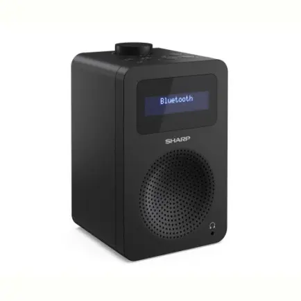 Радиоприемник Sharp DR-430 Black (DR-430(BK)