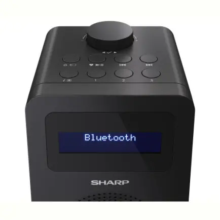 Радиоприемник Sharp DR-430 Black (DR-430(BK)