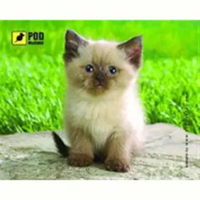 Коврик для мыши Podmyshku Сиамский котик