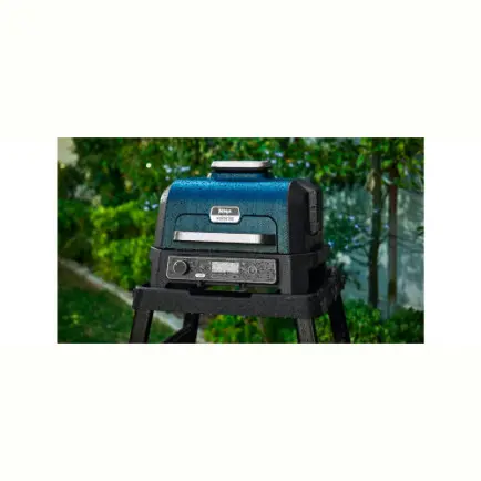 Гриль-барбекю Ninja Woodfire Pro XL OG850EU
