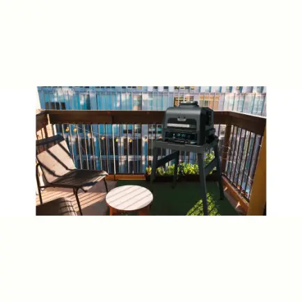 Гриль-барбекю Ninja Woodfire Pro XL OG850EU