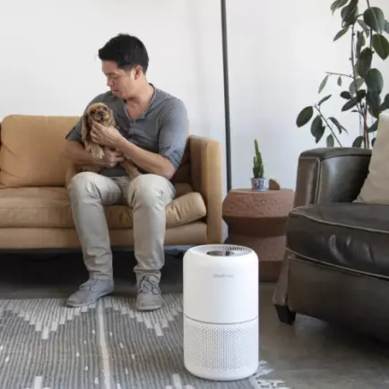 Очищувач повітря Levoit Air Purifier Core P350 Pet Care (HEAPAPLVNEU0035)