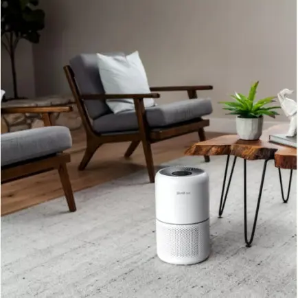 Очищувач повітря Levoit Air Purifier Core P350 Pet Care (HEAPAPLVNEU0035)
