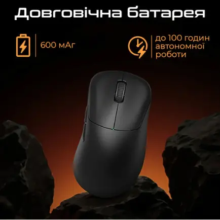 Мышь беспроводная RAWM ER21Pro Black