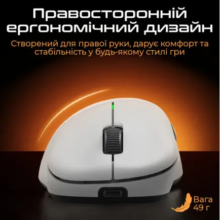 Мышь беспроводная RAWM ER21Pro Black