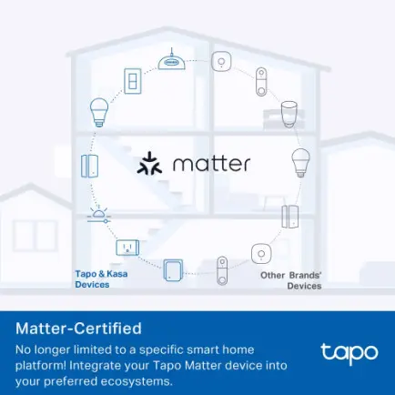Интеллектуальная розетка TP-Link Tapo P100M