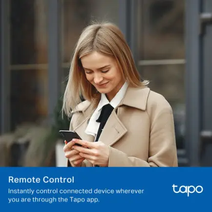 Интеллектуальная розетка TP-Link Tapo P100M