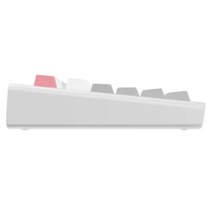 Клавіатура бездротова 1stPlayer NEO87 Wireless Frostwave (NEO87-FW-TLD)