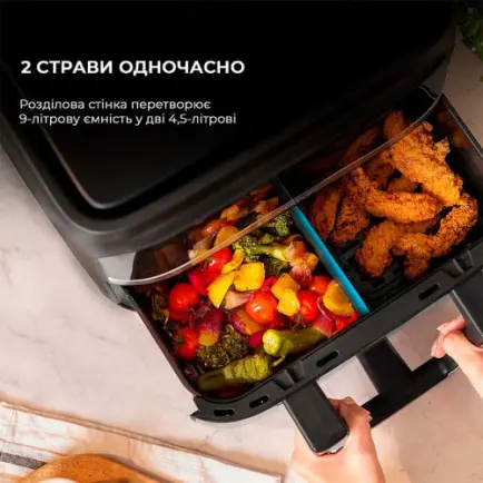 Мультипечь Cecotec Cecofry Dual 9000 (A01_EU01_100149)