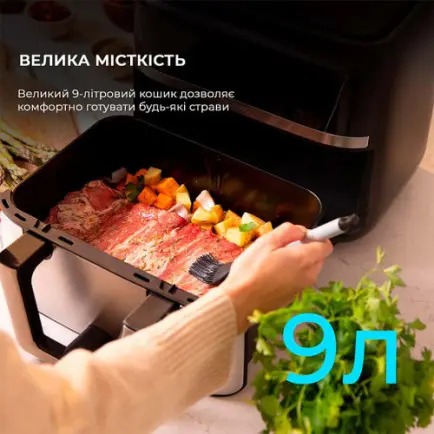 Мультипечь Cecotec Cecofry Dual 9000 (A01_EU01_100149)