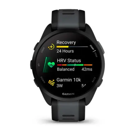 Смарт-часы Garmin Forerunner 165 Black/Slate Gray (010-02863-20)