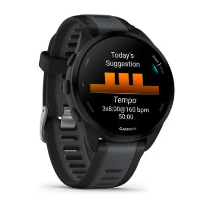 Смарт-часы Garmin Forerunner 165 Black/Slate Gray (010-02863-20)