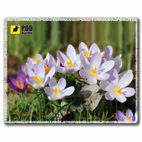 Коврик для мыши Pod Mishkou Весна-Крокусы