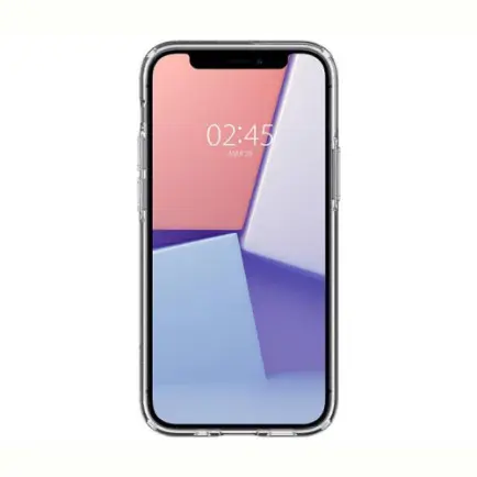 Чехол-накладка Spigen Neo Hybrid для Apple iPhone 12 Mini Crystal Black (ACS01749)