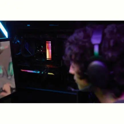 Модуль памяти DDR5 32GB/5600 Kingston Fury Beast RGB Black (KF556C36BBE2A-32)