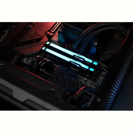 Модуль памяти DDR5 32GB/5600 Kingston Fury Beast RGB Black (KF556C36BBE2A-32)