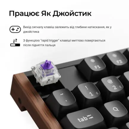 Клавіатура бездротова Keychron K10 HE Magnetic Switch Black RGB (K10H-F1-UA)