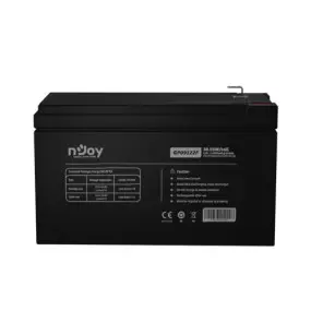 Аккумуляторная батарея Njoy GP09122F 12V 9AH (BTVACIUOCTA2FCN01B)