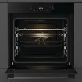 Духовой шкаф Gorenje BOS6737E20FBG