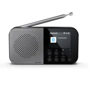 Радиоприемник Sharp DR-P520 Grey (DR-P520(GY)