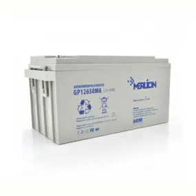 Аккумуляторная батарея Merlion 12V 65AH (GP12650M6/09414)