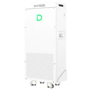 Аккумуляторная батарея с подогревом Dyness PowerBrick 14.34KWH 51.2V 280AH