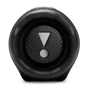 Акустическая система JBL Charge 6 Black (JBLCHARGE6BLK)