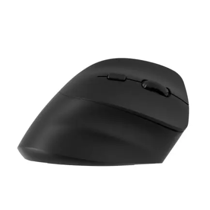 Мышь беспроводная 2E MF325 Black (2E-MF325WBK)