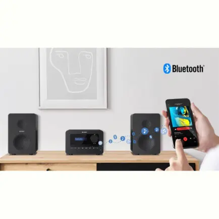 Мікросистема Sharp Micro Sound System Black (XL-B514(BK)