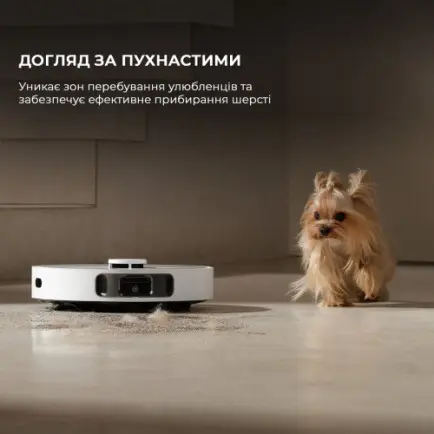 Робот-пилосос Dreame D20 Ultra (RLD31SE)