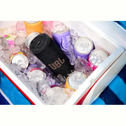 Акустична система JBL Grip Black (JBLGRIPBLK)