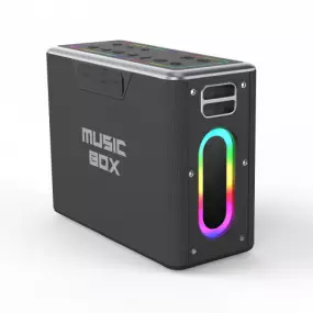 Акустична система HiFuture MusicBox 100W Black (musicbox100.black)