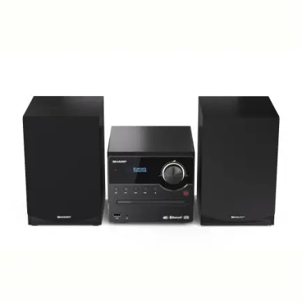 Мікросистема Sharp Micro Sound System Black (XL-B517D(BK)