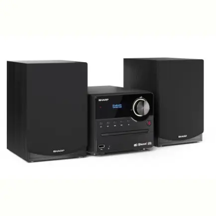 Мікросистема Sharp Micro Sound System Black (XL-B517D(BK)