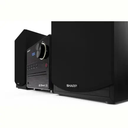 Мікросистема Sharp Micro Sound System Black (XL-B517D(BK)