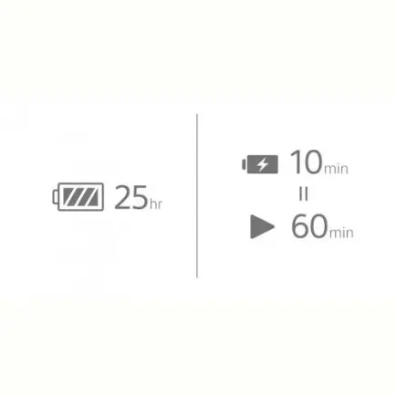 Bluetooth-гарнітура Sony WI-C100 Black (WIC100B.CE7)