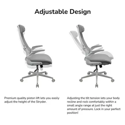 Крісло для геймерів Cougar Stryder Gray