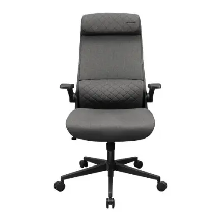 Крісло для геймерів Cougar Stryder Gray