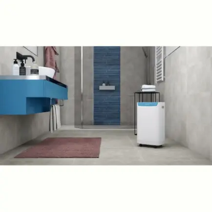 Осушитель воздуха Olimpia Splendid Aquaria S1 14 P (OS-2062)