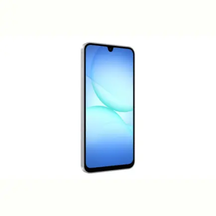 Смартфон Samsung Galaxy A17 SM-A175 4/128GB Gray (SM-A175FZABEUC)