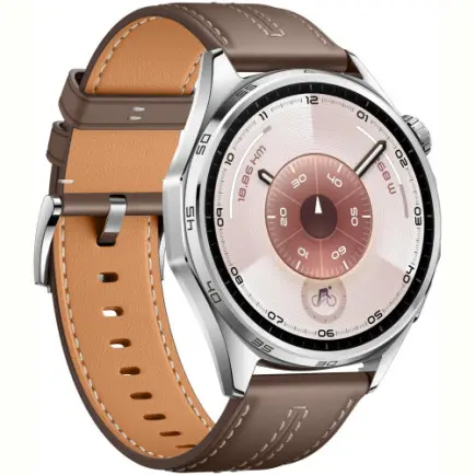 Смарт-часы Huawei Watch GT 6 46mm Steel with Brown Composite Leather Strap (55020FTW)