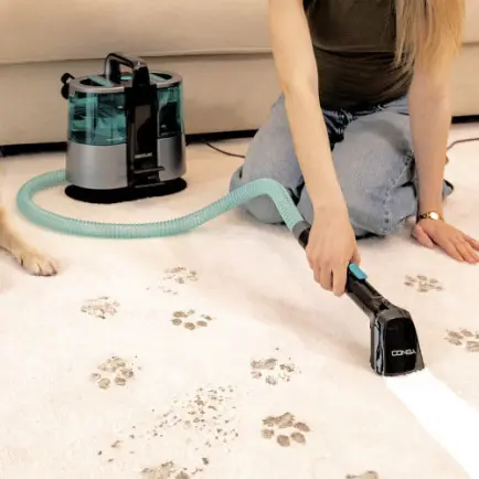 Моющий пылесос Cecotec Conga 6000 Carpet&Spot Clean XL (A01_EU01_122354)