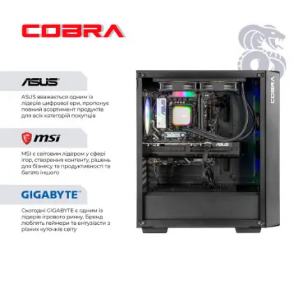 Персональный компьютер COBRA Advanced (A79X.64.S10.56.26004)