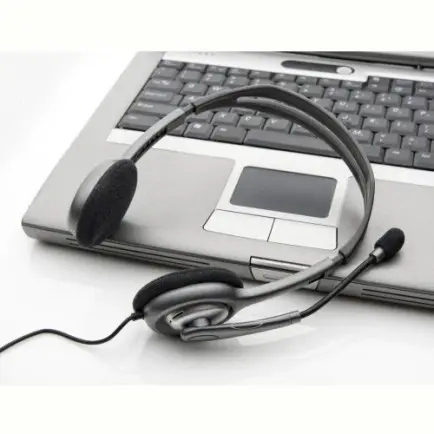 Гарнітура Logitech H110 (981-000271)