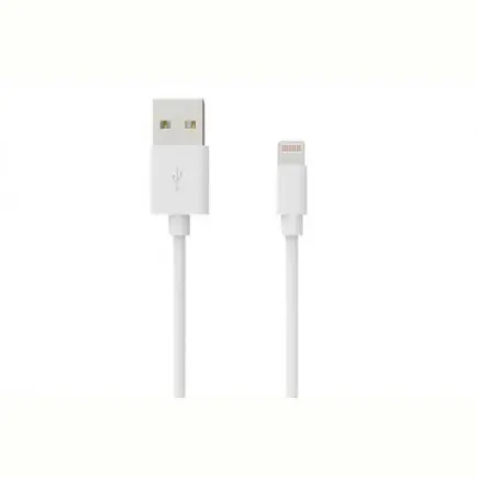 Сетевое зарядное устройство Grand-X (1xUSB 2.1А)