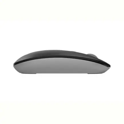 Мышь беспроводная A4Tech FG20 Grey